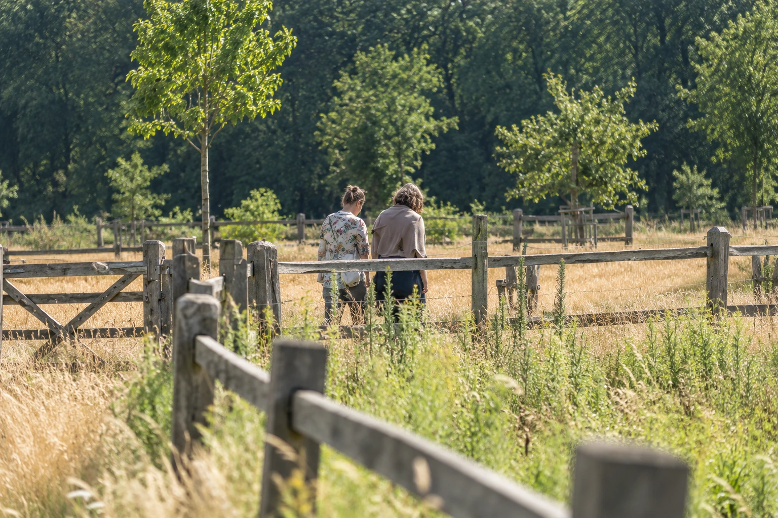 Twee vrouwen van achteren langs een houten omheining in het groen